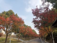-石湖景区
