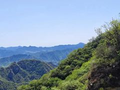 -大岭沟猕猴桃谷风景区