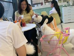 -怪兽屋·羊驼·猫咖·狗咖(俊华广场店)