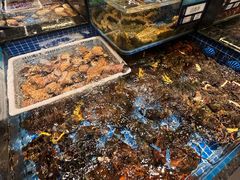 -东海怡品海鲜豆捞(舟宿夜江店)