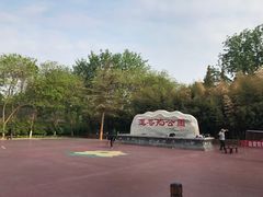 -莲花池公园