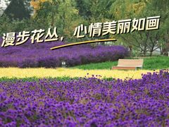 -圆明园遗址公园-藻园门售票处