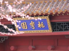 -桃花堤公园