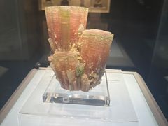 -安徽省地质博物馆