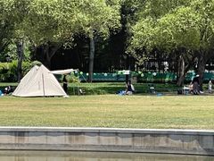 -泰丰公园