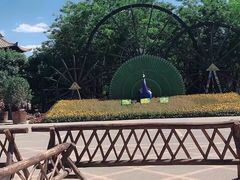 -呀路古热带植物园