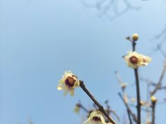-北京明城墙遗址公园