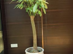 -金色印象·4K影院式足体养生(香榭里店)