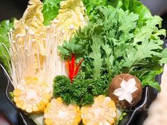-原牛道·潮汕围炉火锅(讯美店)