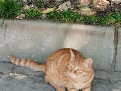 -终南山南五台景区