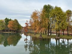 -贡湖湾湿地公园