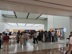 -Apple零售店(青岛万象城店)