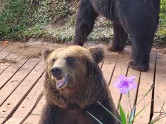 -海南热带野生动植物园