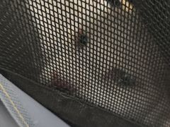 -艾吉宠物医院·疑难杂症转诊中心·猫友好(碧江路院)