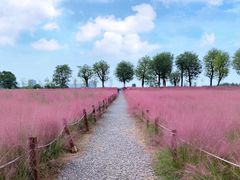 -汉长安城未央宫国家考古遗址公园