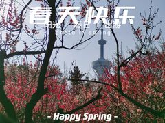 -南京古林公园