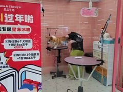 -FAELING PETS美天灵宠物(合生汇店)
