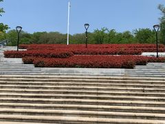 -羊山湖公园