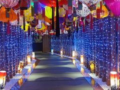 -重庆南山海昌汤都