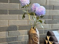 -梧桐舍那(梧桐山店)