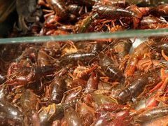 -鼎香缘海鲜自助火锅烤肉(锦辉购物广场店)