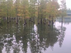 -白鹭湾湿地公园