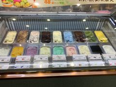 -iceason爱茜茜里·意大利健康冰淇淋(骑龙巷店)