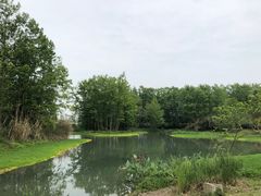 -桤木河湿地公园