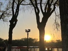 -北陵公园
