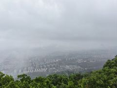-缙云山景区
