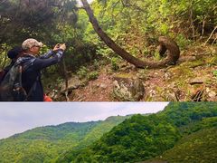 -东白山
