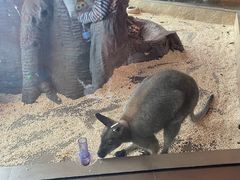 -昆明大悦城未来动物城(螺蛳湾中心店)