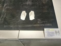 -温州博物馆