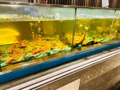 -海天盛宴海鲜自助(正大广场店)