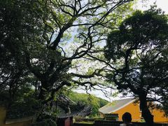-普陀山慧济禅寺