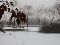 -张店儿童公园