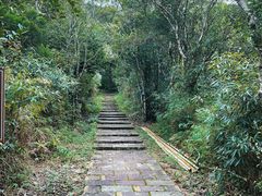 -海南热带雨林国家公园吊罗山景区