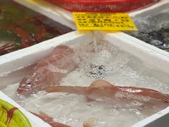 -板桥海鲜广场(文明东店)