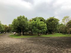 -上海海湾国家森林公园