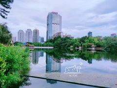 -荔枝公园(福田区)