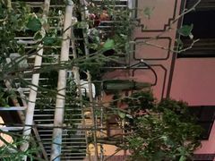 -大富贵烧烤公司(双廊店)