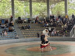 -石家庄市动物园