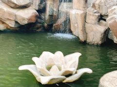 -燕塞湖鸟语林景区
