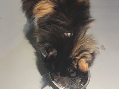 -小时光咖啡馆(开森度假森林店)