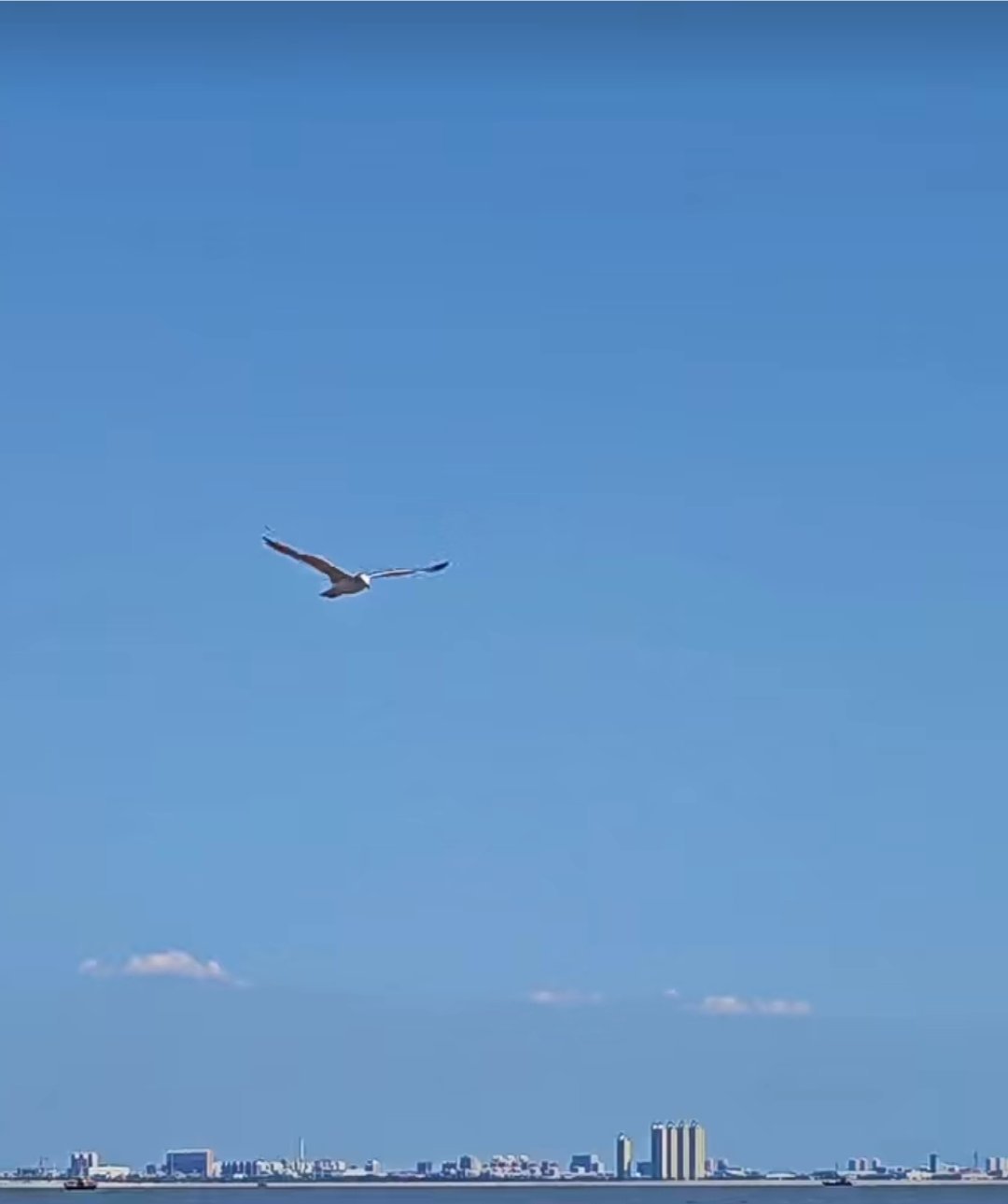 https://qcloud.dpfile.com/pc/ojA03fx98PoAkWMdrWGypUWB6Qt9vf-_h9426lEVd7VGwRK899Q_dG3QMjFCppQBY0q73sB2DyQcgmKUxZFQtw.jpg
