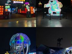 -海合安成都极地海洋公园