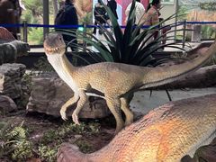 -湖南省地质博物馆