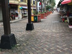 -大湾区中央湿地公园-十九涌