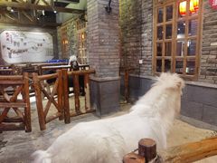 -巴倒烫陆派火锅山庄(南山总店)