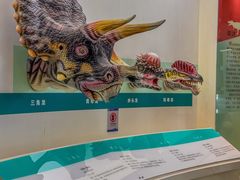 -安徽省地质博物馆